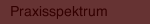 Praxisspektrum